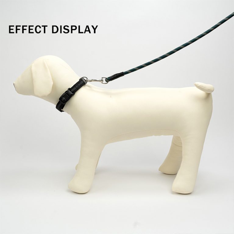 ZH002-pet leash6