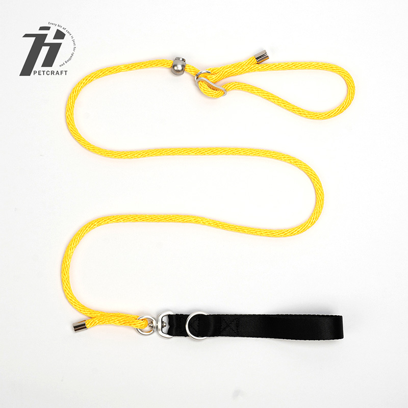ZH004—P leash
