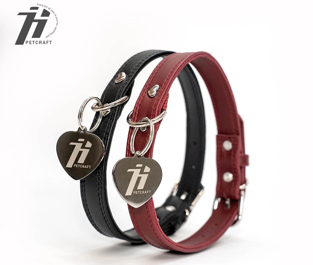 Holydog’s PU Leather Dog Collar