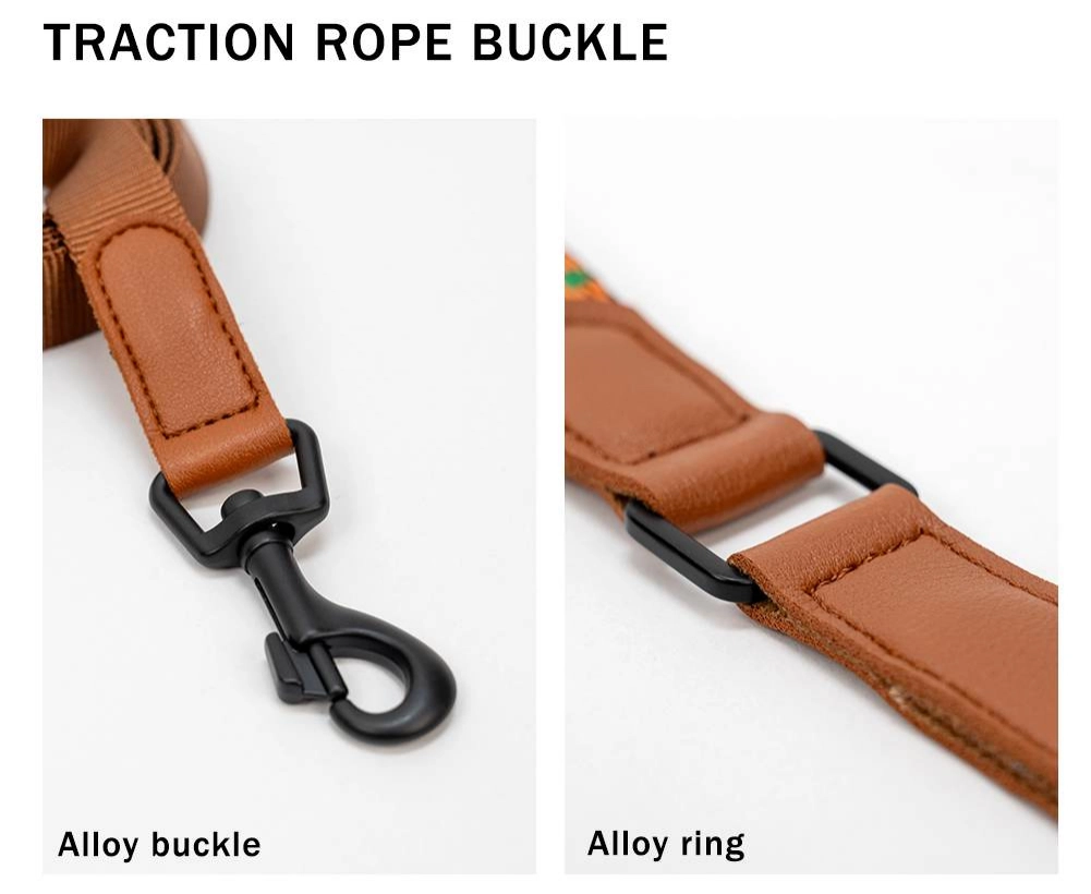 Dog collar with the alloy buckle