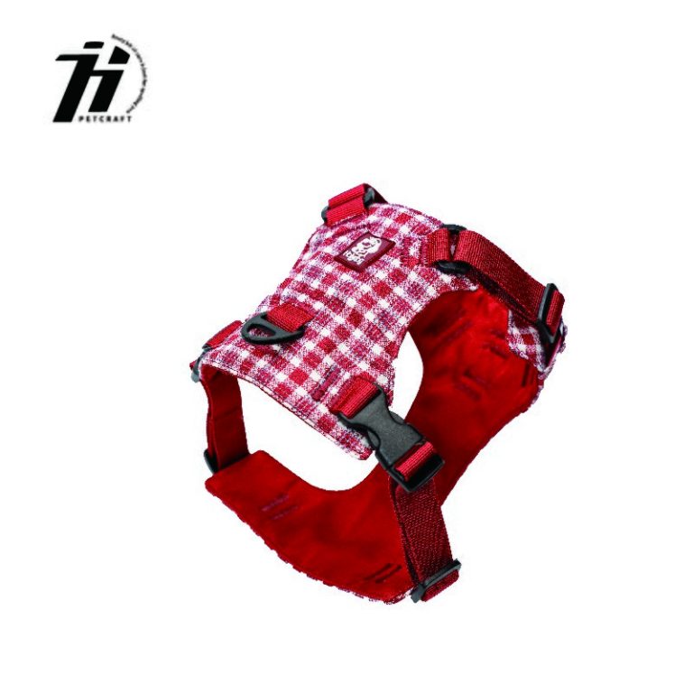 -2_画板 1 副本 2