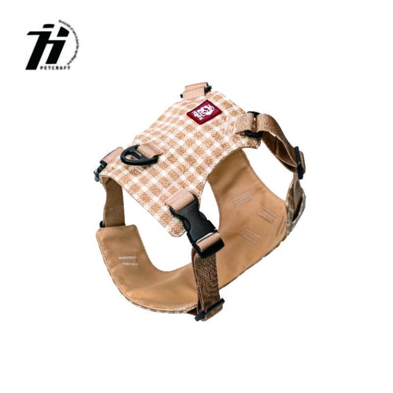 -2_画板 1 副本 3