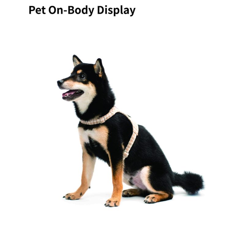 -5_画板 1 副本 7