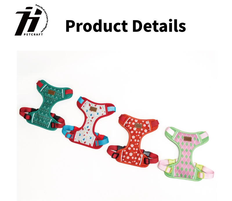 A high-quality outdoor dog leash