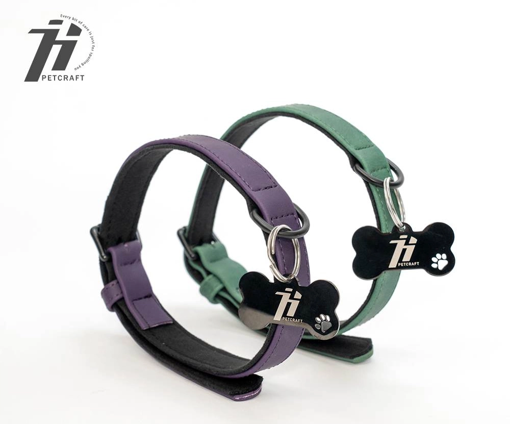 Holydog pet collar E005