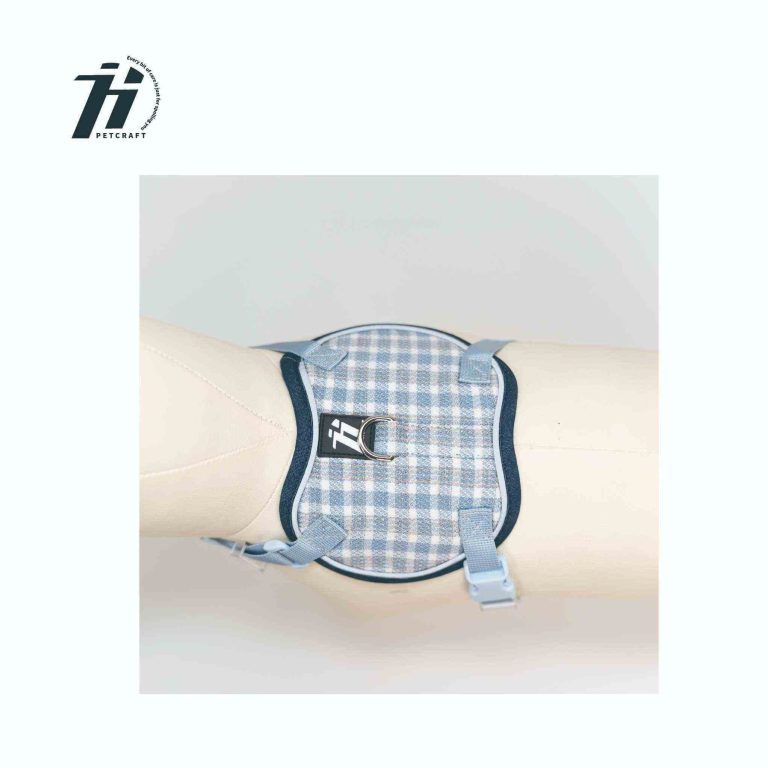 _画板 1 副本 2_compressed