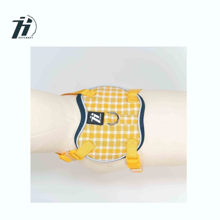 _画板 1 副本 3_compressed