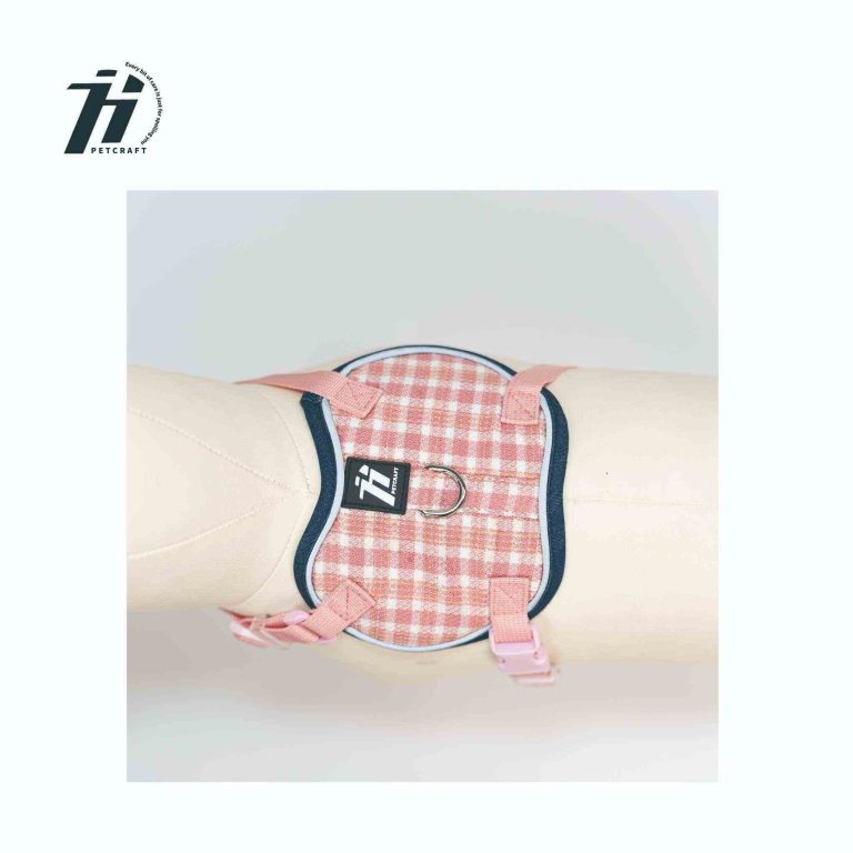 _画板 1 副本_compressed