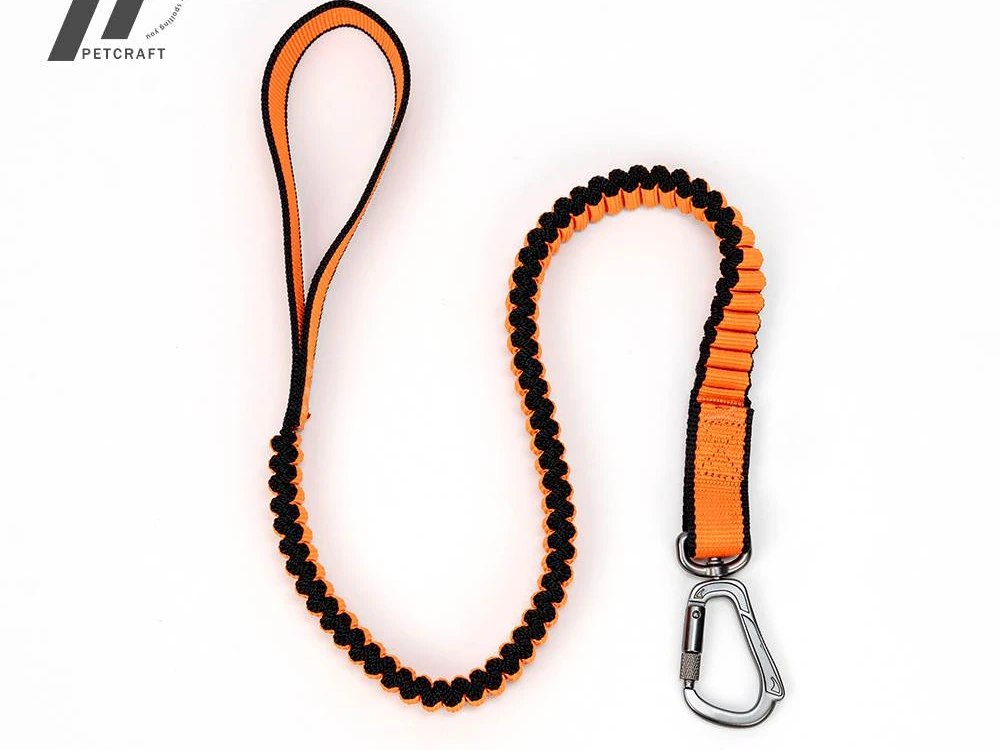 Elastic Buffer Leash