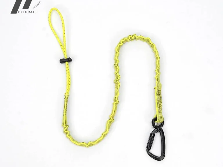 How Should Pet Brands Source Reflective Dog Leashes for Night Walks_