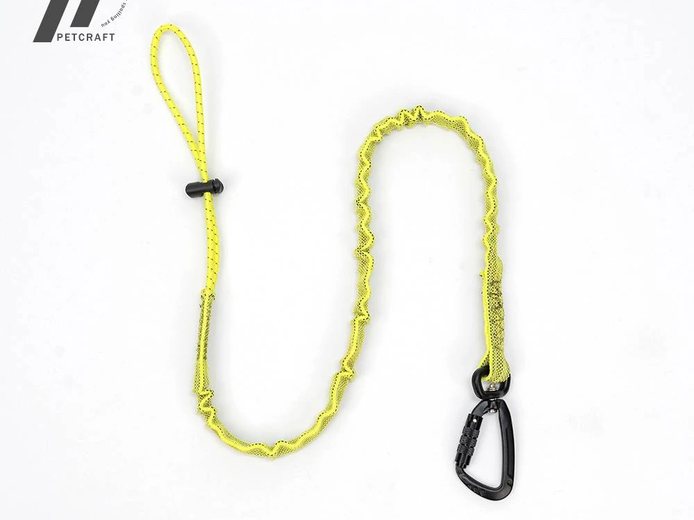 How Should Pet Brands Source Reflective Dog Leashes for Night Walks_
