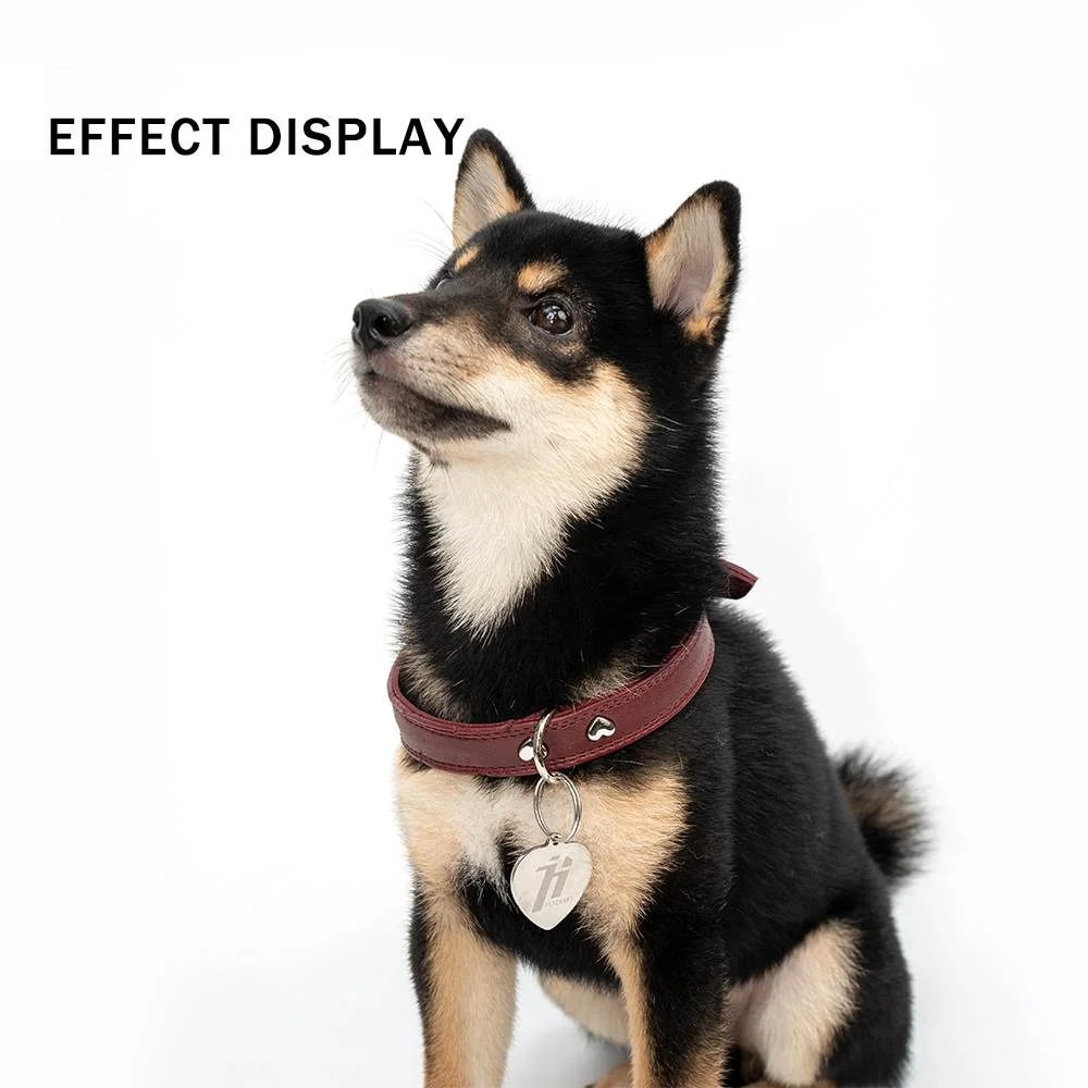 collar de perro de cuero sintético