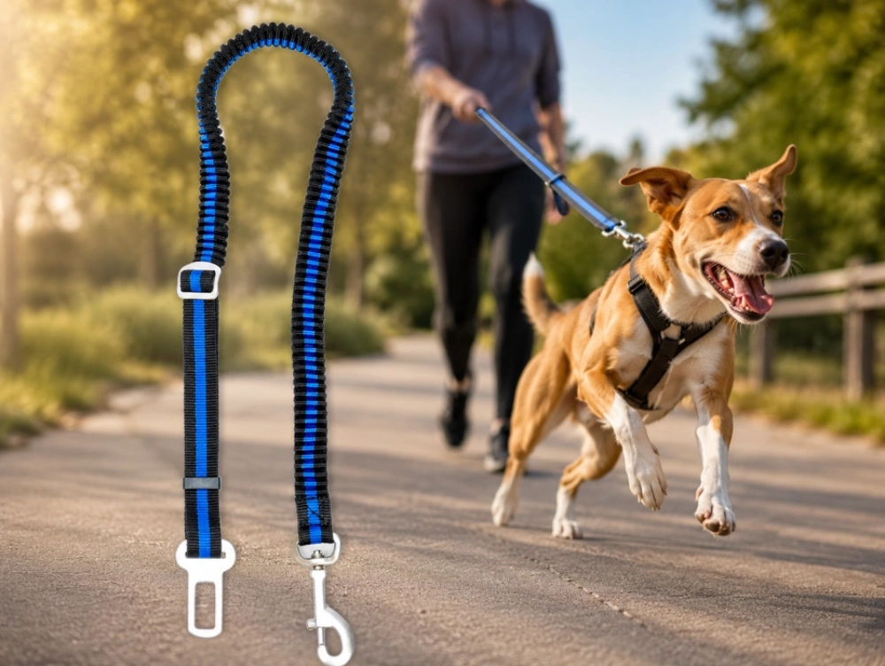 How Much Stretch Should a Shock Absorbing Dog Leash Have