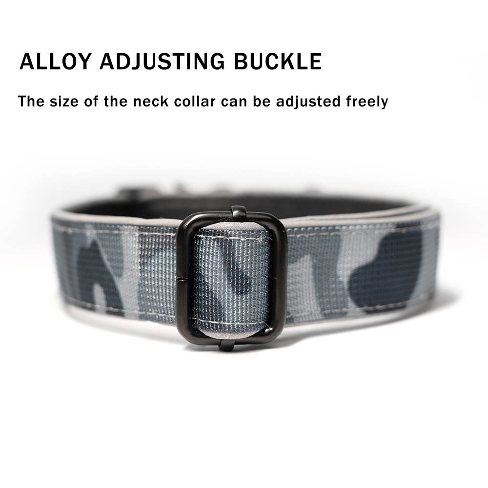 Alloy adjusting buckle on a dog collar