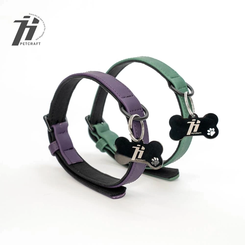personalized dog collar